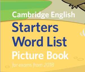 剑桥 剑桥系列实用单词彩图   PREA1,A1,A2 3级 高清PDF 可打印-新知城