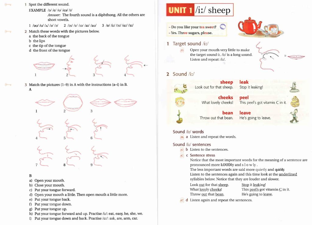 图片[3]-剑桥国际英语语音教程  Pronunciation Pairs  第三版 教材PDF+英音音频+美音音频+互动软件-新知城