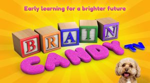 Brain Candy TV 男孩最爱的汽车动画英语启蒙 全93集，带英文字幕 适合0-15岁 1080P 百度网盘下载-新知城