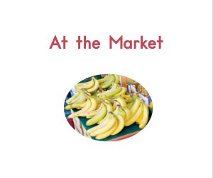 海尼曼分级阅读 Heinemann Guided Reading 有声点读版 全三级298册 +音频+外教视频-新知城