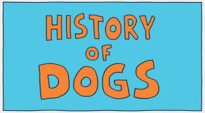 TED-ED Awesome Nature 了不起的自然 【128集 英语 英文字幕+中文字幕】-新知城