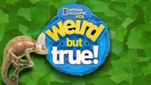 Weird But True! 奇怪但真实！国家地理儿童节目【1-3季 英语 英文字幕 26.5G】-新知城