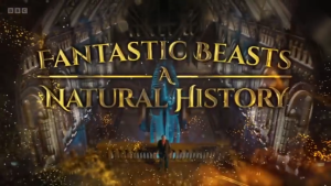 Fantastic Beasts A Natural History BBC神奇动物自然历史【1集 视频+PDF】-新知城