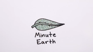 Youtube英语科学科普视频 MinuteEarth分钟地球【355集 英文字幕】-新知城